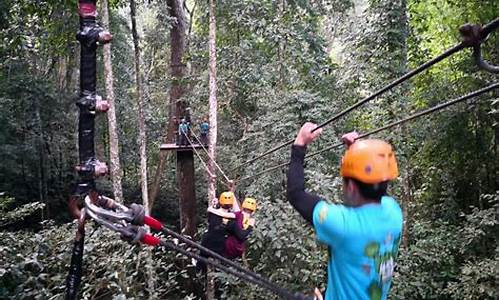 原始森林公园丛林飞跃a段b段区别_原始森