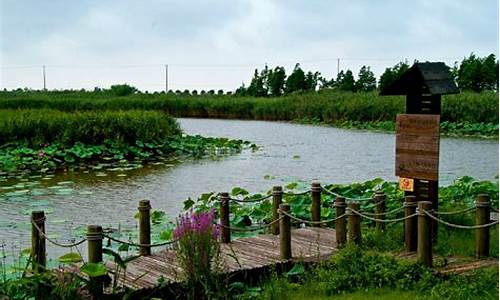 上海崇明岛湿地公园门票_上海崇明岛湿地公