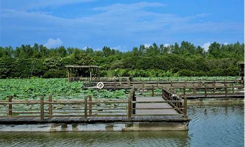 南沙湿地公园攻略_南沙湿地公园攻略一日游