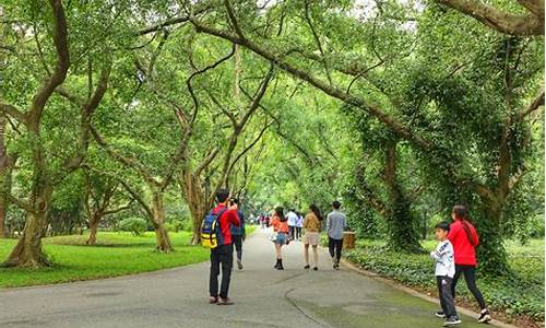 华南植物园攻略一日游_华南植物园攻略一日