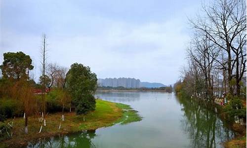 洋湖湿地公园可以骑自行车吗_洋湖湿地公园