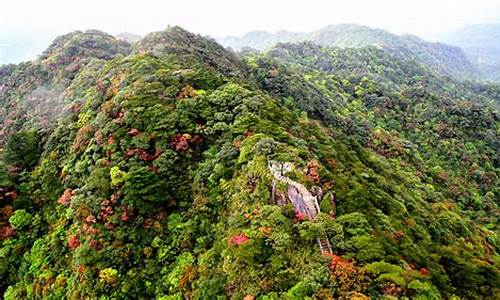 南岭森林公园住宿_南岭森林公园住宿预订