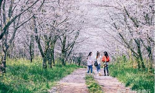 春季旅游景点推荐带孩子_春季旅游景点推荐带孩子去