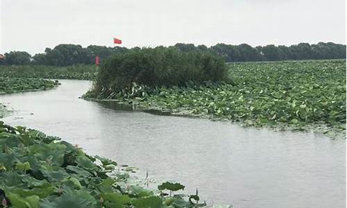 洪湖旅游景点门票_洪湖旅游景点门票多少钱