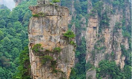 张家界适合带孩子去玩的地方_张家界带孩子旅游攻略二天一晚