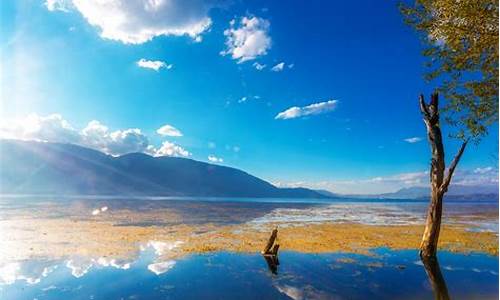 云南旅游风景区_云南旅游风景区排名