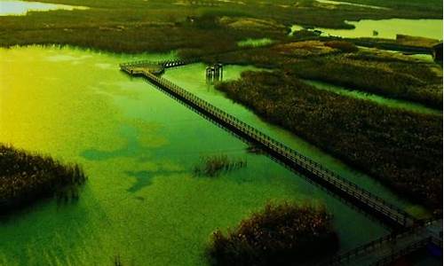 杭州湾湿地公园旅游_杭州湾湿地公园旅游攻略